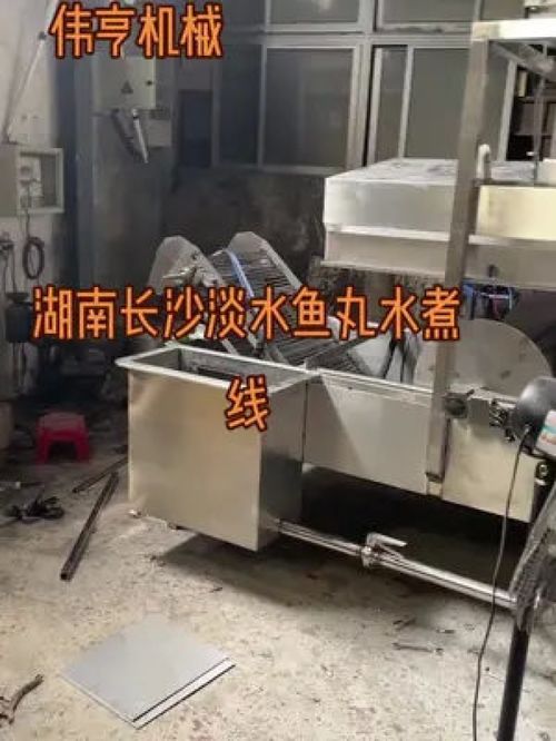 偉亨食品機(jī)械 專業(yè)丸類設(shè)備與肉類加工設(shè)備的領(lǐng)軍者